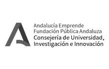 E-Marketing Analítica Web Fundación Red Andalucía Emprende