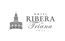 Diseño y Programación Hotel Ribera de Triana